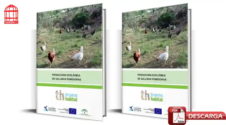 Dónde descargar el libro Producción ecológica de gallinas ponedoras en PDF gratis